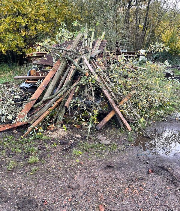 Garden Clearance specialists in Surrey, Hampshire and Berkshire.